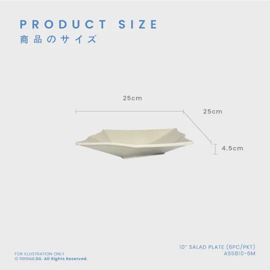10" SALAD PLATE 6PC/PKT (12PKT/CTN) (AS5810-6M)