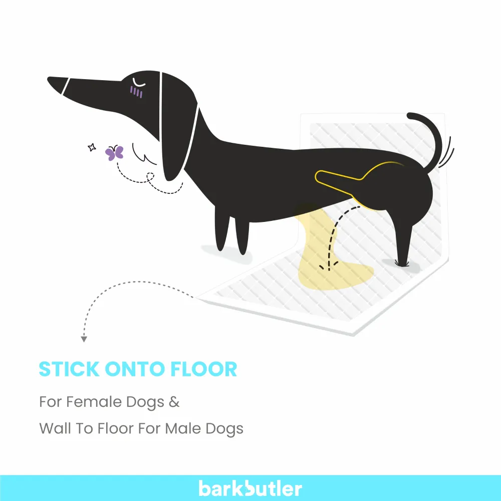 Barkbutler Fofos Training Pad for Dogs (45x60cm)