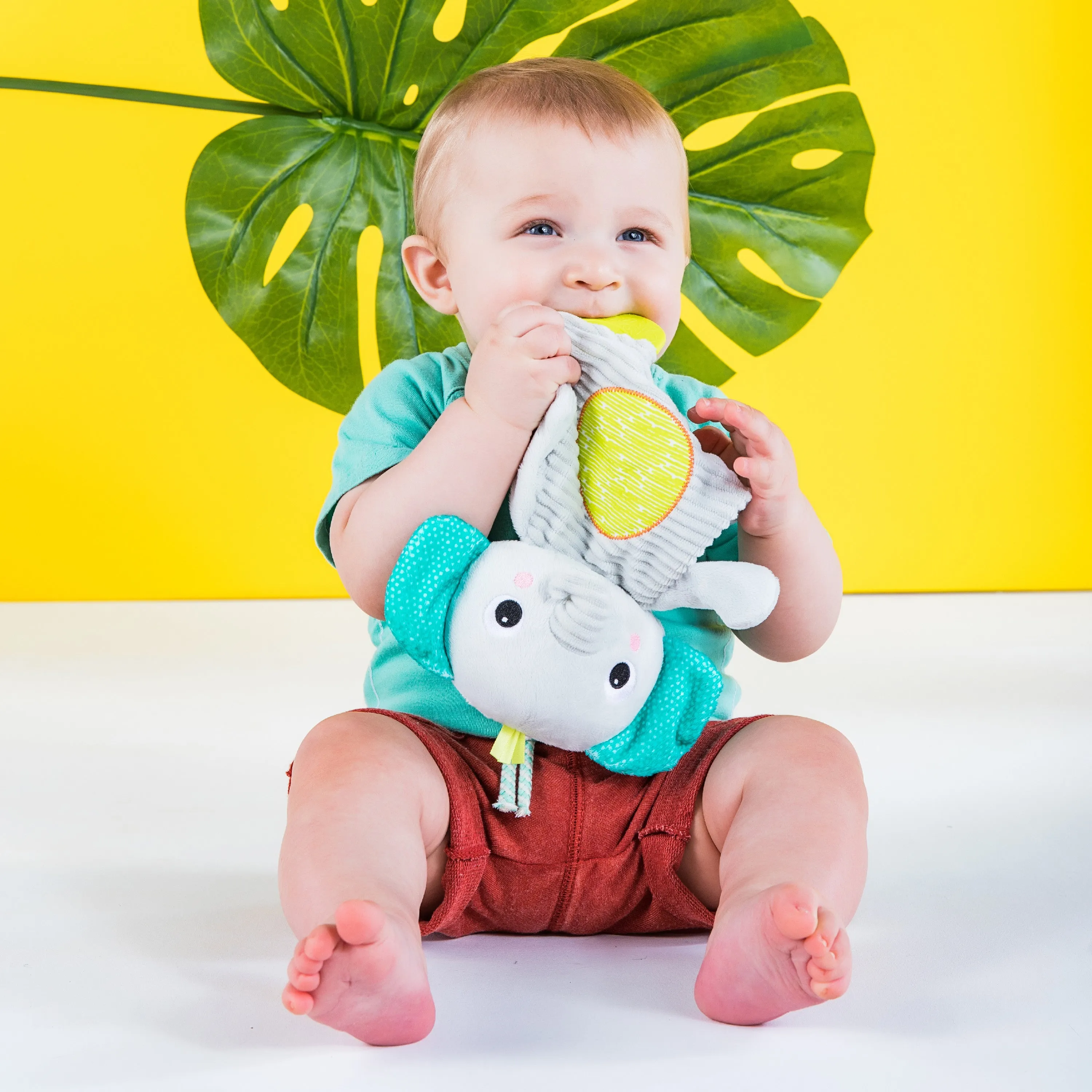 Bright Starts Snuggle & Teethe Plush Teether Toy, Assortment