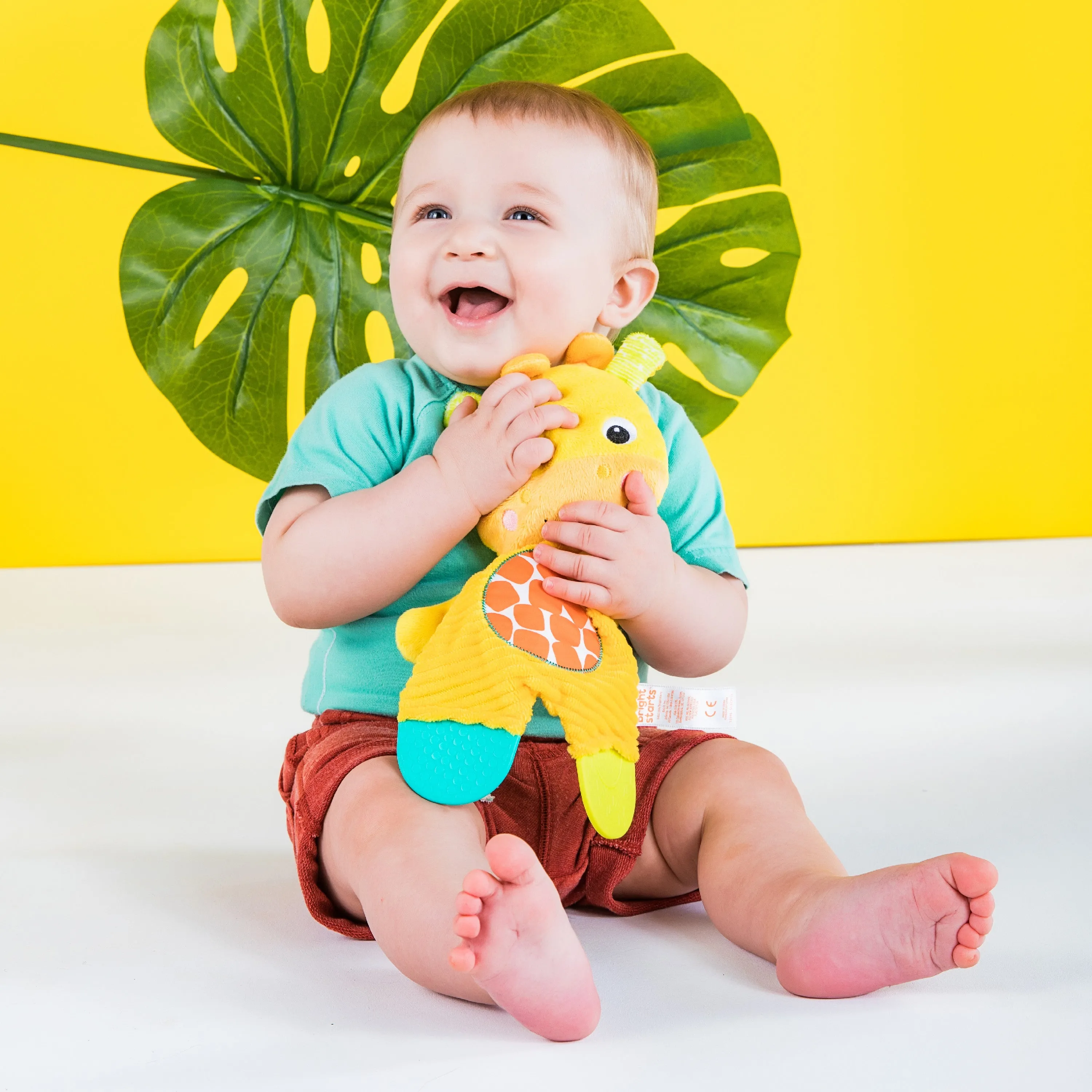 Bright Starts Snuggle & Teethe Plush Teether Toy, Assortment