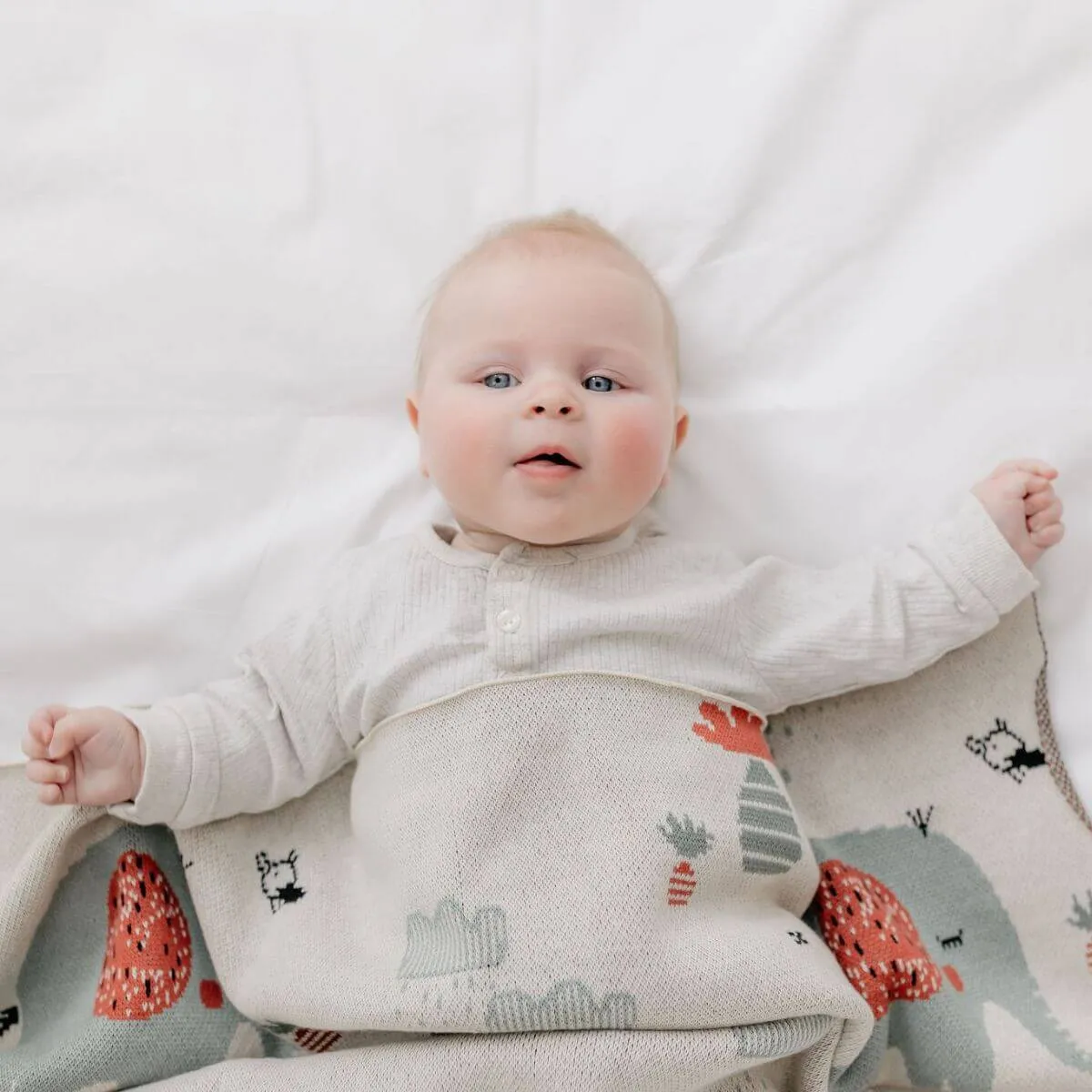 Di Lusso Living Baby Blanket
