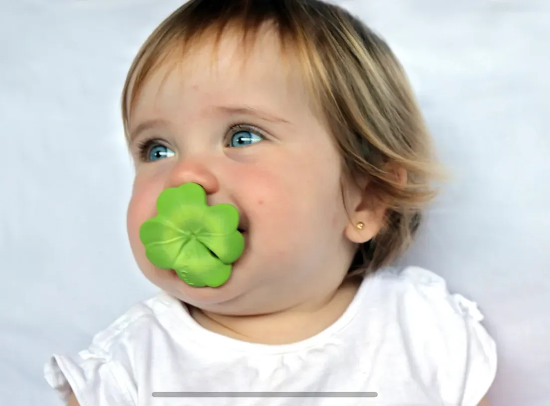 Eli the Clover Chewy