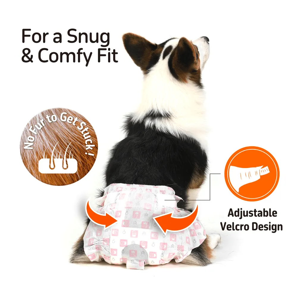 Fofos Diaper for Female Dogs