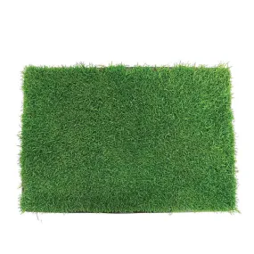 Gotta Go Grass Refill  16″ x 24″