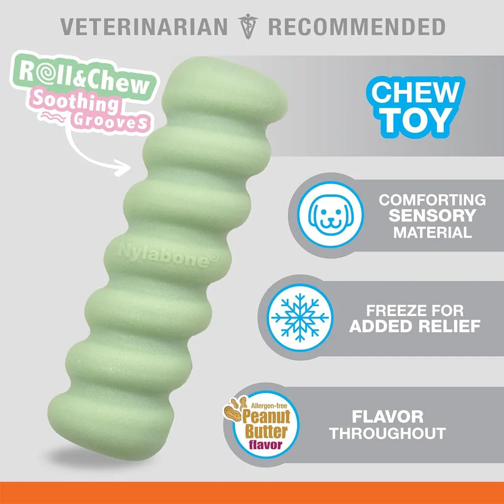 Nylabone Sensory Material Puppy Teething Stick Peanut Butter Flavor, Small