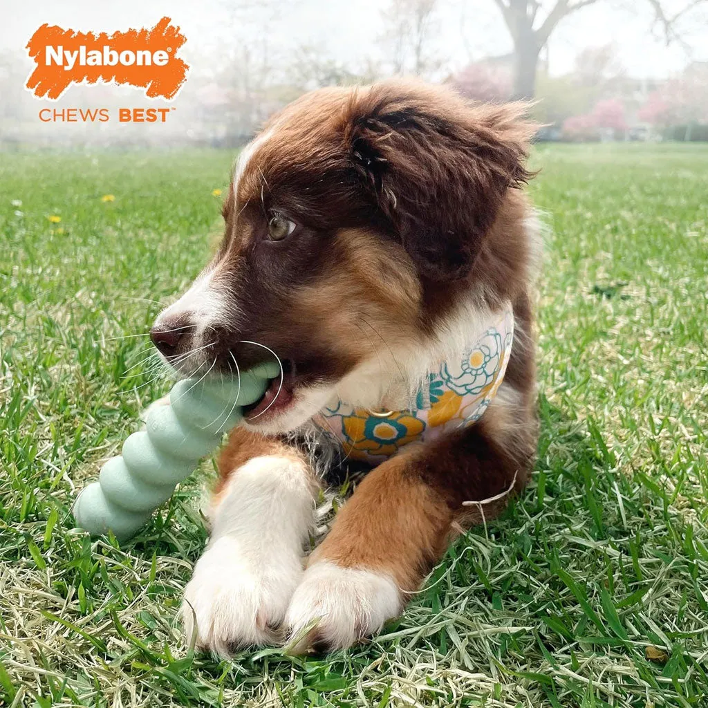 Nylabone Sensory Material Puppy Teething Stick Peanut Butter Flavor, Small
