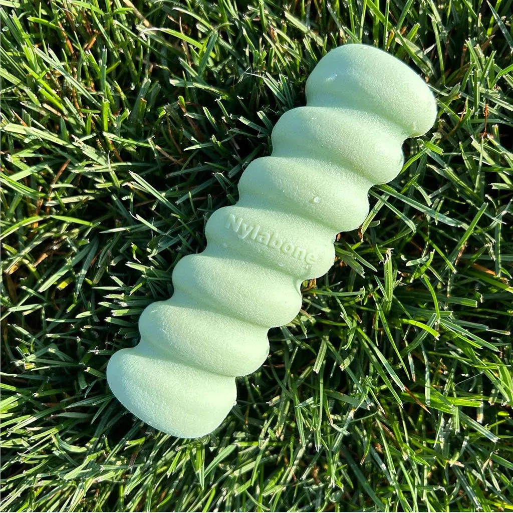 Nylabone Sensory Material Puppy Teething Stick Peanut Butter Flavor, Small