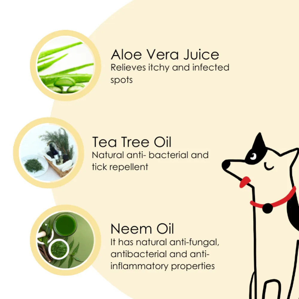 Pet And Parents 2 in 1 Anti Tick Tearless Vanilla Shampoo & Conditioner for Dogs and Cats